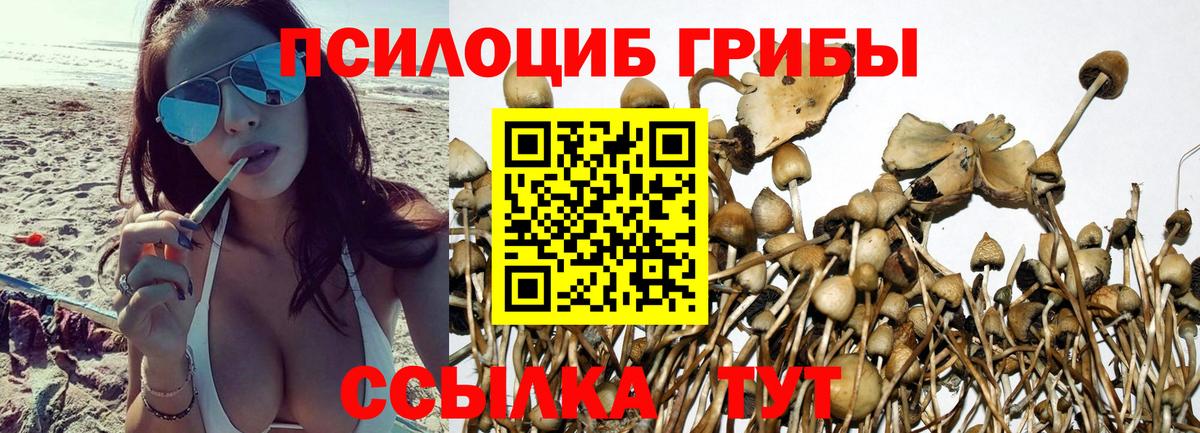 Зерноград  Галлюциногенные грибы мицелий  Вход с VPN 