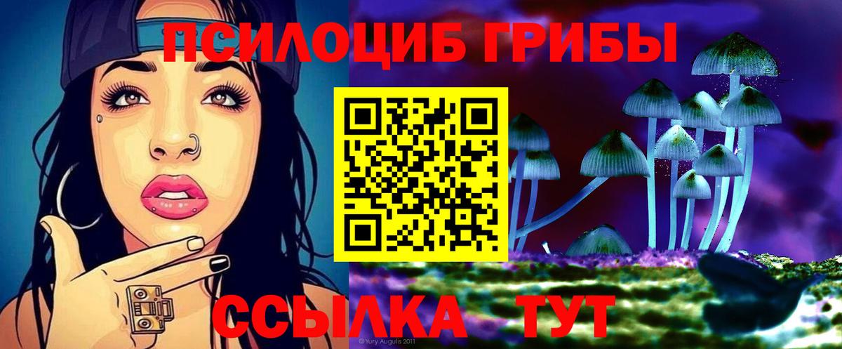 Псилоцибиновые грибы Psilocybine cubensis Зерноград